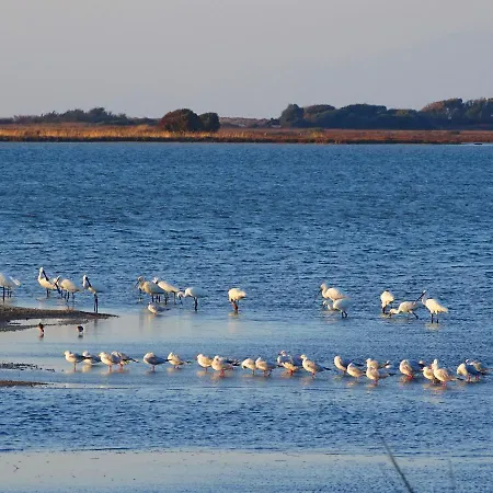 Vissala Village Villa *
