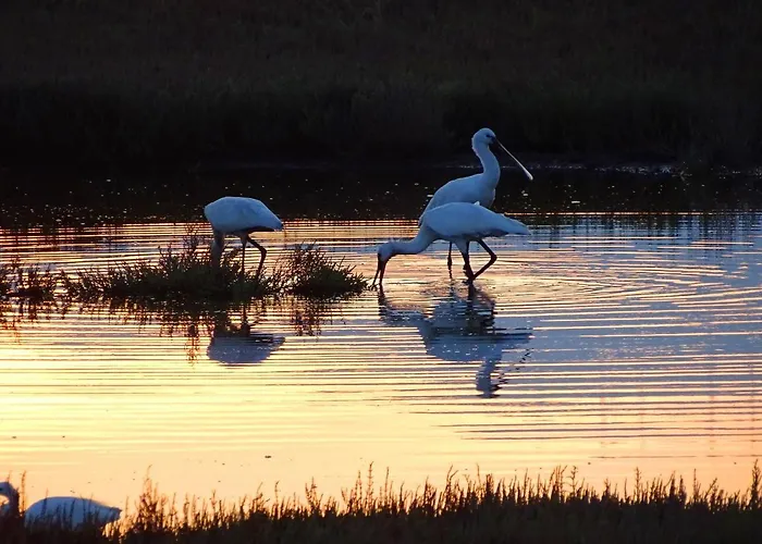 Vissala Village Villa