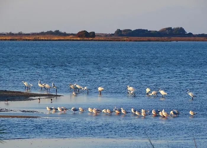 Vissala Village Villa *
